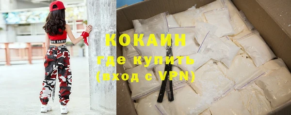 шишки Новодвинск