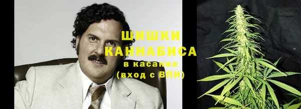 дурь Нея
