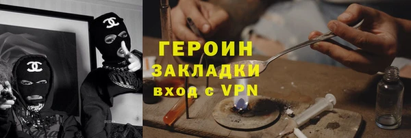 шишки Новодвинск