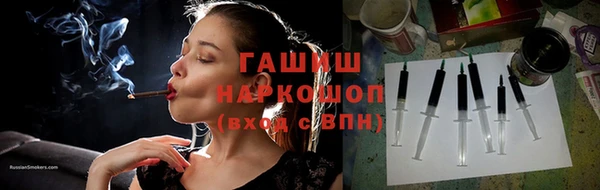 шишки Новодвинск