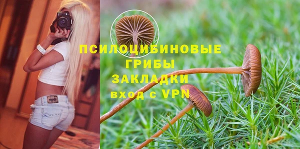 шишки Новодвинск