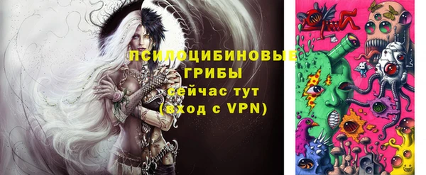 шишки Новодвинск