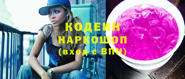 шишки Новодвинск