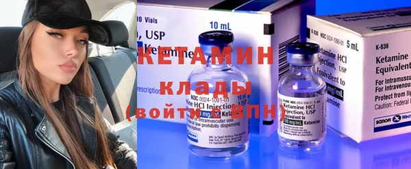 шишки Новодвинск
