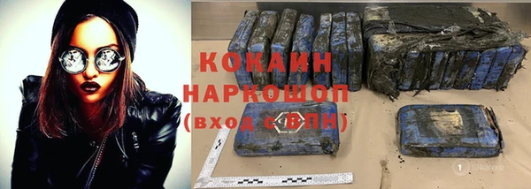 шишки Новодвинск